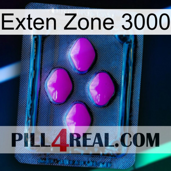 Exten Zone 3000 04.jpg